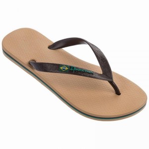 Beige / Brown Men's Ipanema Classic Brazil II Flip Flops | PKEJFX-402