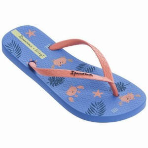 Blue / Pink Women's Ipanema Mr. Wonderful II Flip Flops | MQKSCP-380