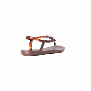 Brown / Gold Women's Ipanema Leaf Sandals | IKRJPX-213