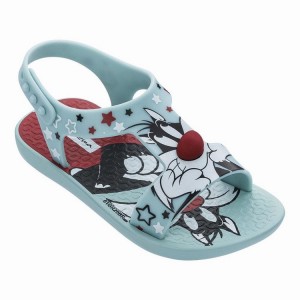 Green / Red Baby Ipanema Looney Tunes Sandals | SMCDQA-074