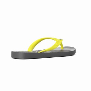 Grey / Yellow Kids' Ipanema Tropics Flip Flops | ZQCHLK-849