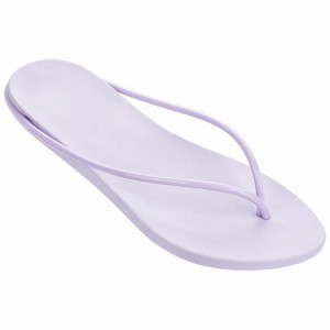 Purple Women's Ipanema Philippe Starck Thing M Flip Flops | XGVRQL-145