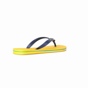 Yellow / Blue Men's Ipanema Classic Brazil II Flip Flops | ODEGFV-895