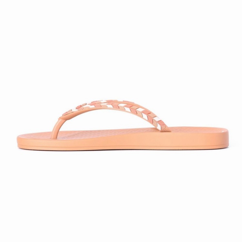 Brown Women's Ipanema Ana Lovely X Flip Flops | XBIKTG-478