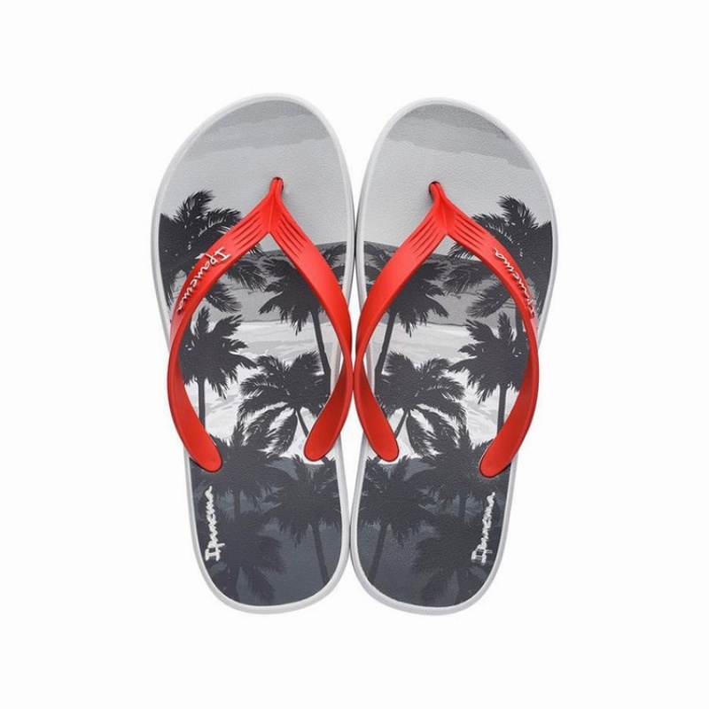 Grey / Red Men's Ipanema 10 Palm Flip Flops | GYQKRP-724