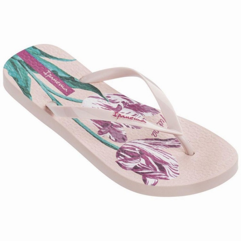 Pink Women\'s Ipanema Botanicals Flip Flops | VCLKID-702